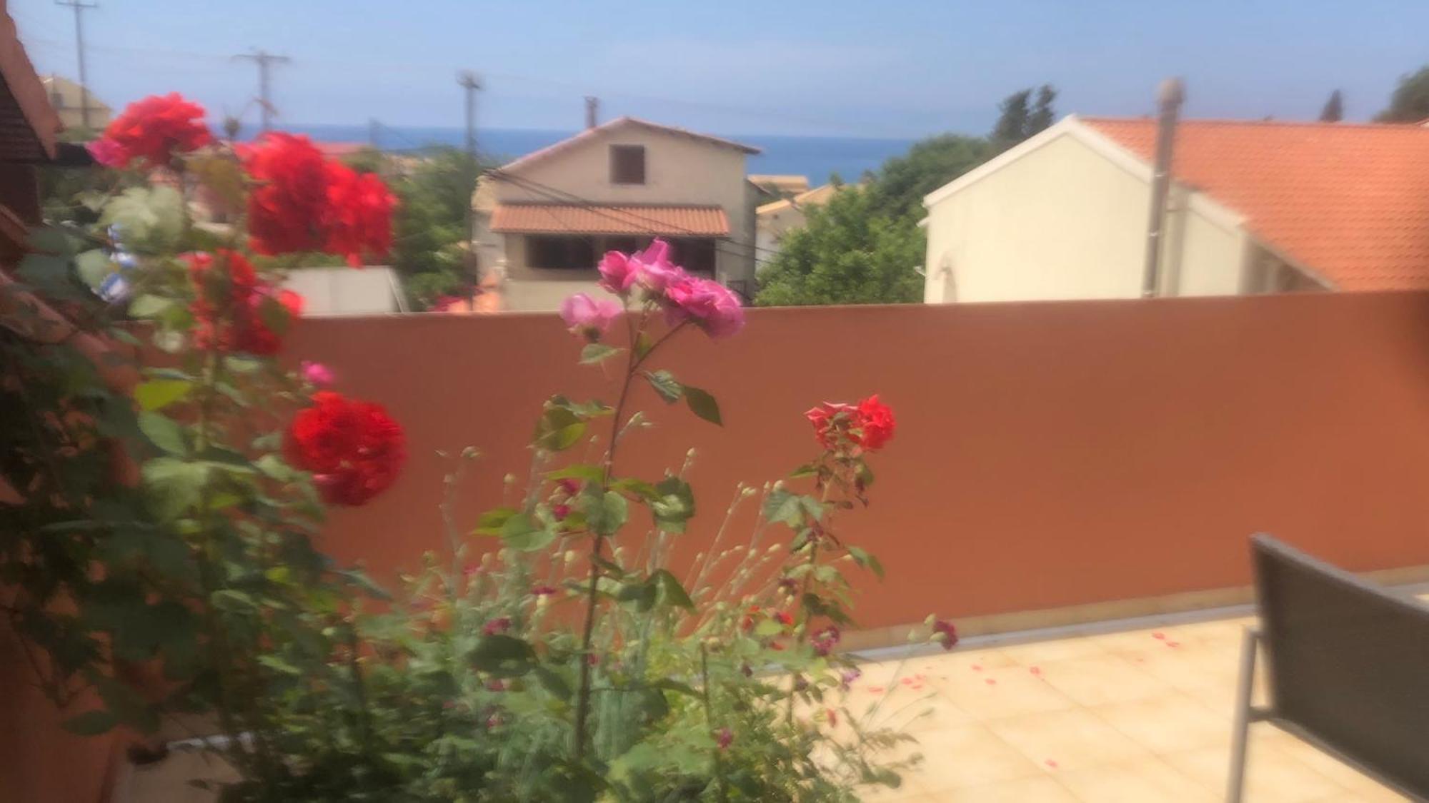 אגיוס גורדיוס Pandora'S Corfu Apartments מראה חיצוני תמונה